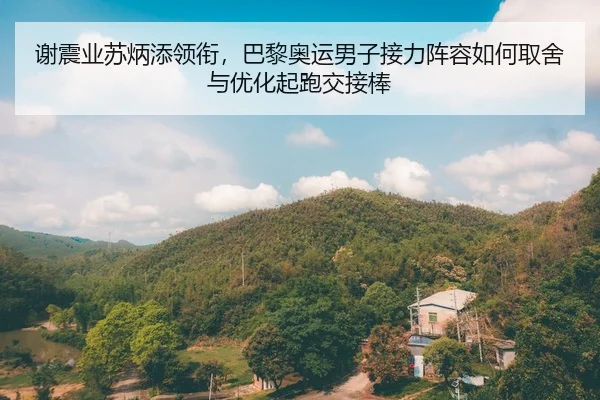 谢震业苏炳添领衔，巴黎奥运男子接力阵容如何取舍与优化起跑交接棒